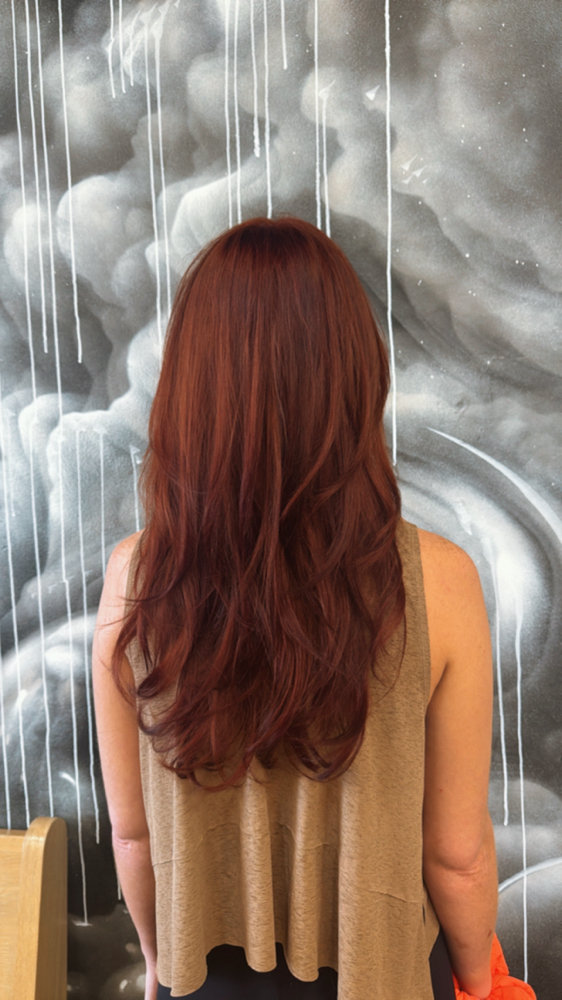 Women's Cut + Blowout