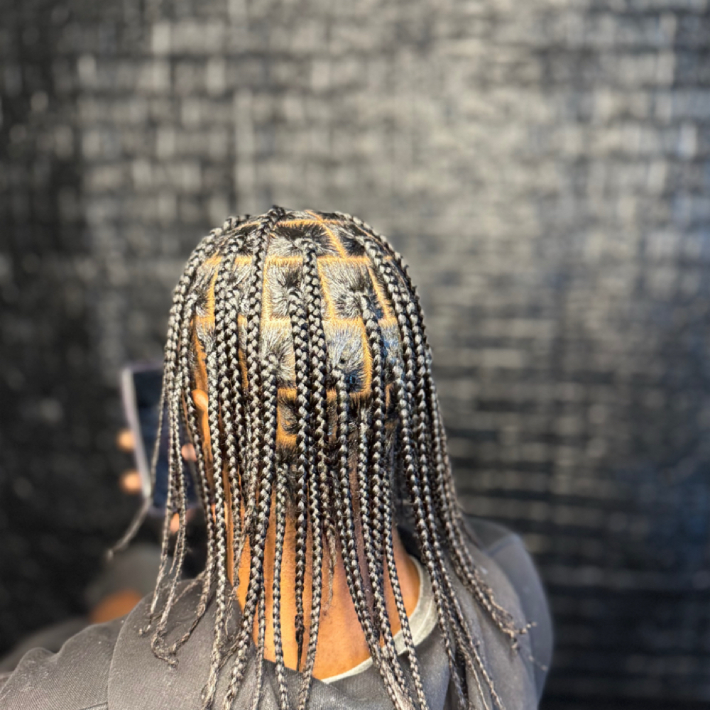 Male (Single Braids) at StylezByJazmyne in Oklahoma City, OK