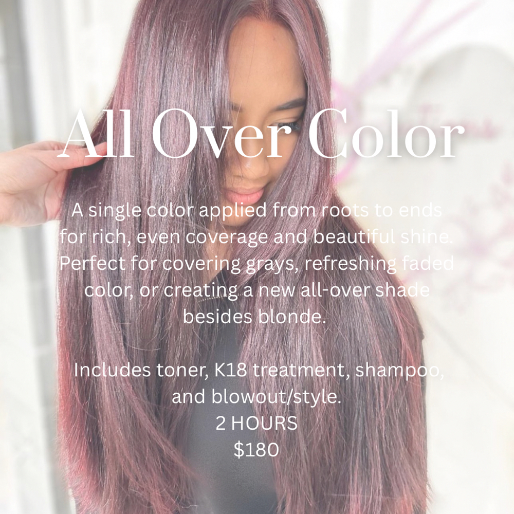 All Over Color at BloomingBeautySuite in Eugene, OR