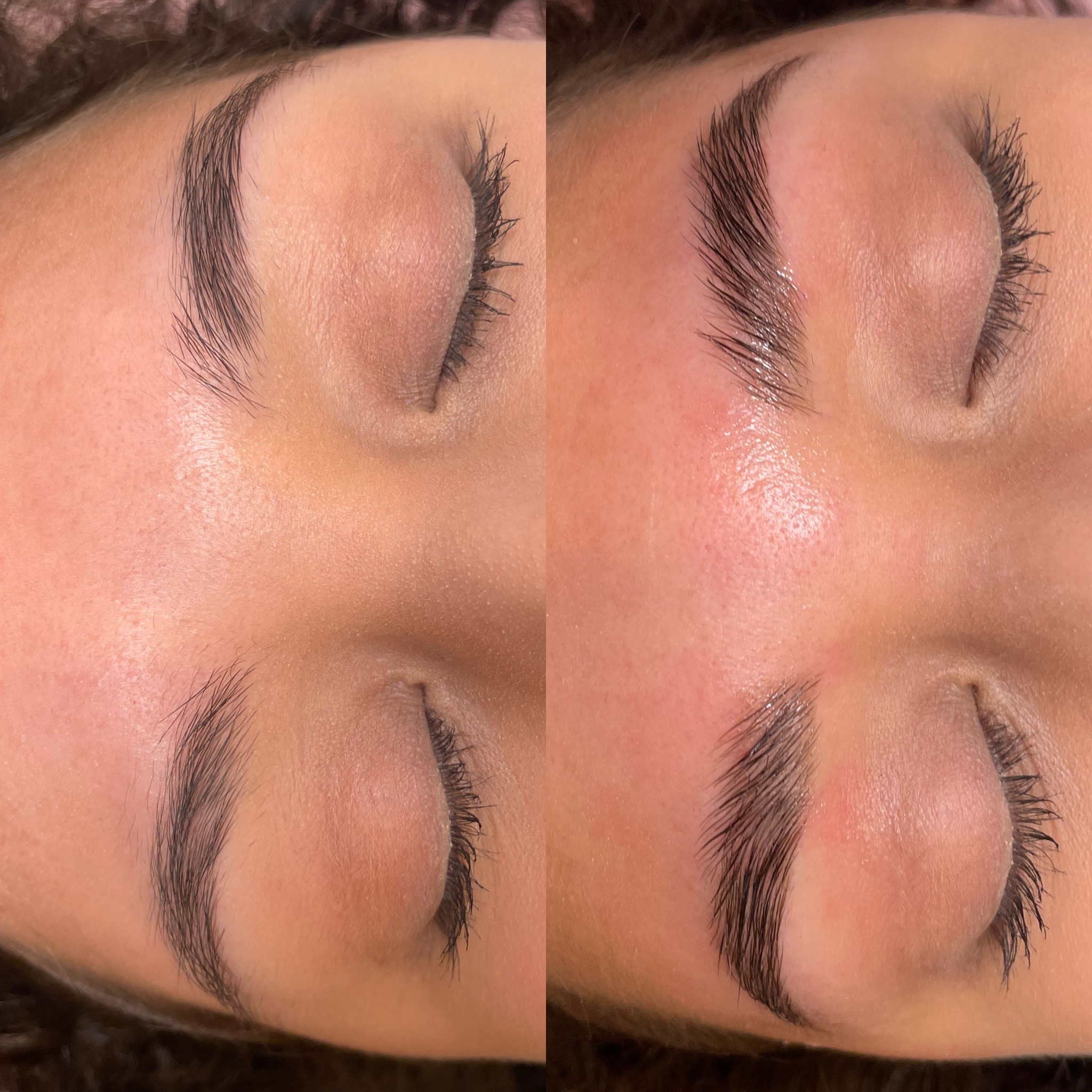 Brow Wax and Tint