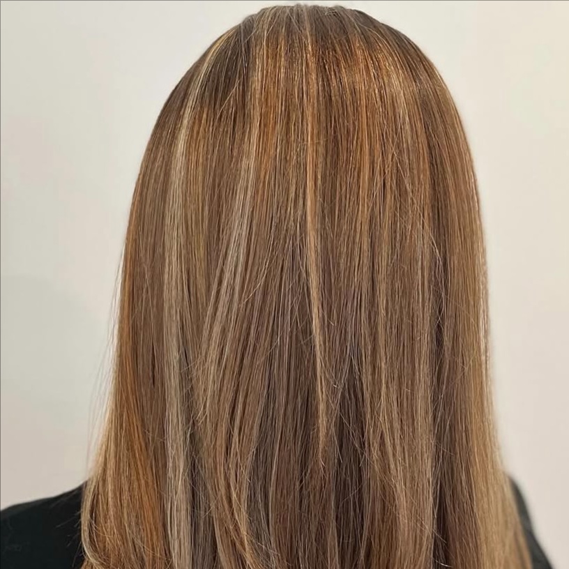 Quarter Foil + Cut at Sante Salon in Williston, VT