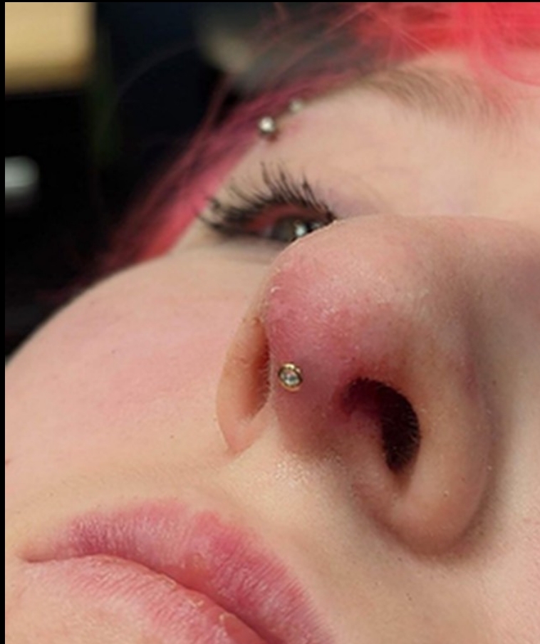 Septril Piercing at Divine Image Ink Piercings in Parma Heights, OH