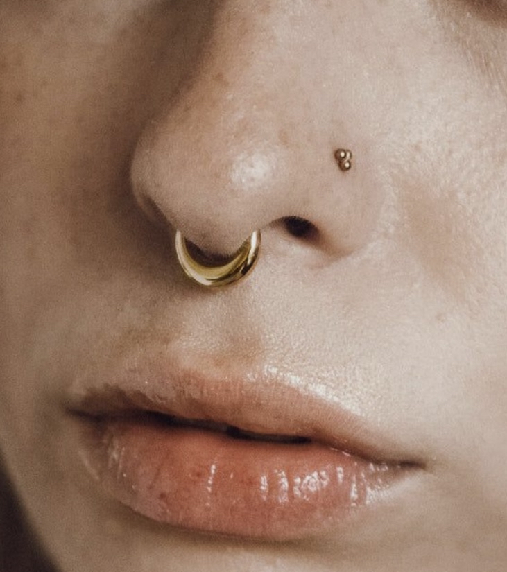 Septum