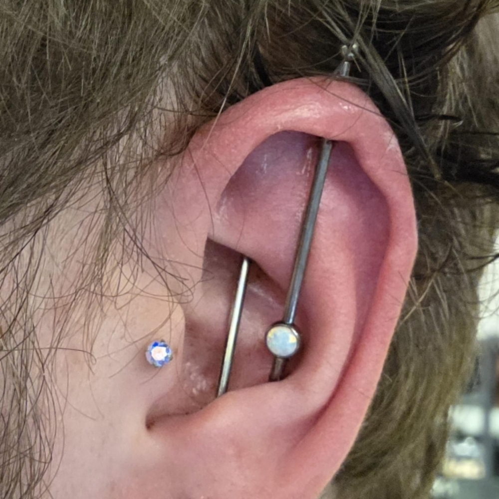 Vertical Industrial at Piercings By Autumn in New Castle, PA