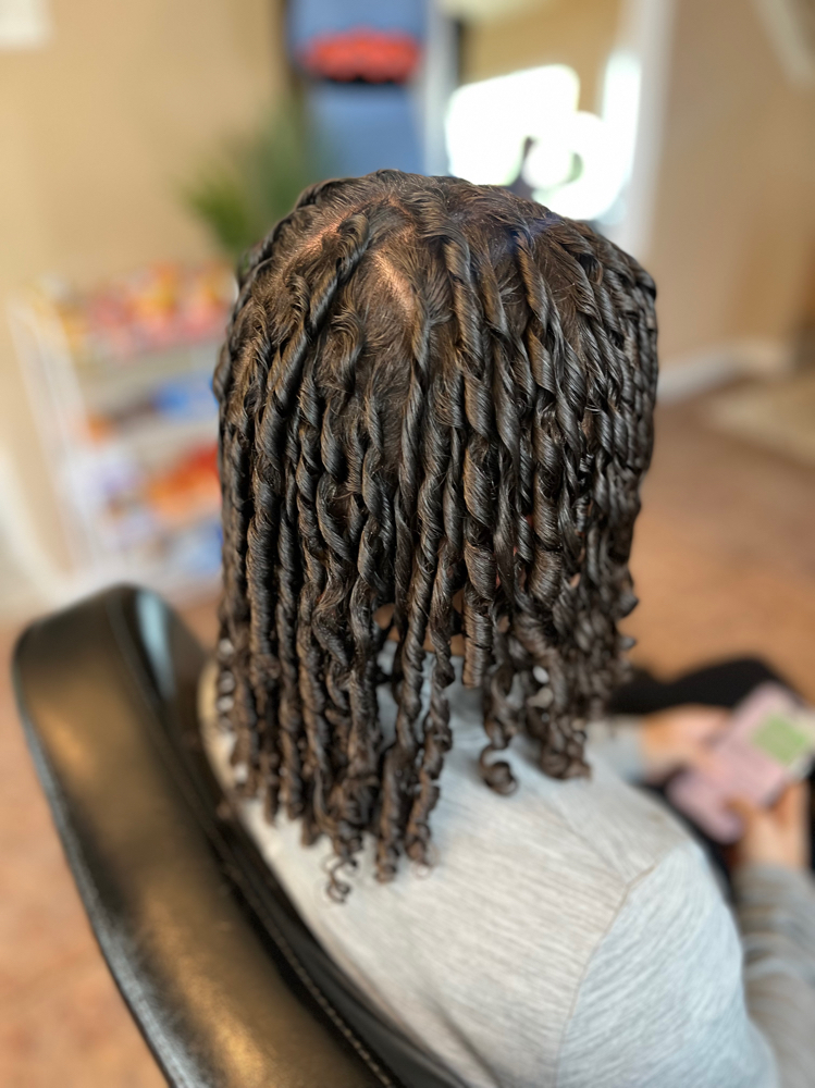 Starter Locs