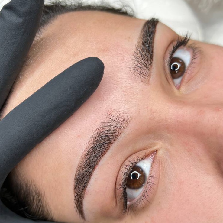 Touch-Up (Brows or Lips) at Inkspiredbydes in Green Brook, NJ
