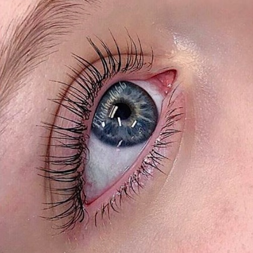 Lash Lifting & Tinting (top/bottom) at B-Lashed Beauty & Bridal Bar in Dallas, TX