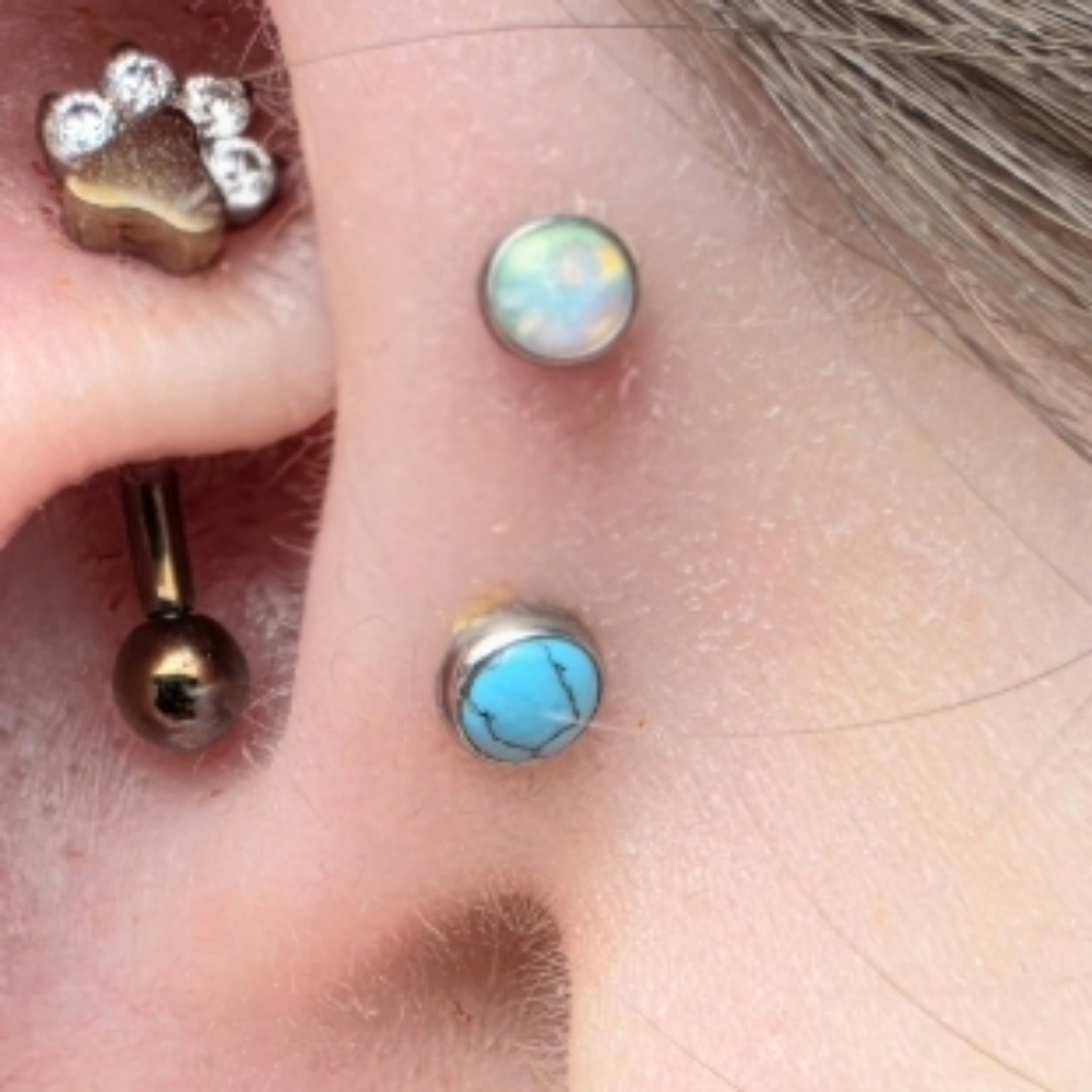 Forward Helix at The Skin Lounge in MARQUETTE, MI