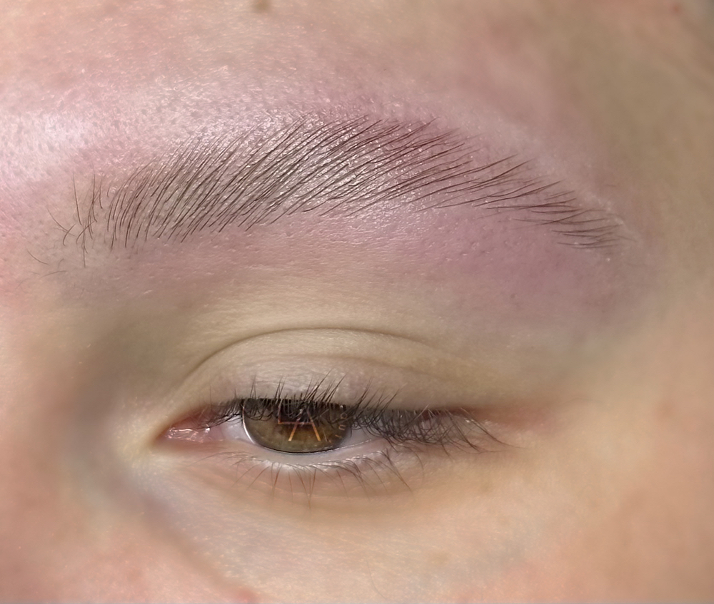 Eyebrow Lamination (no tint)