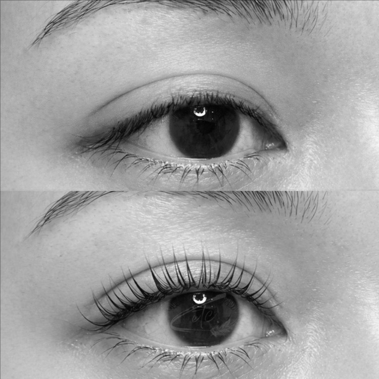 Traditional Lash Lift at lashes, etc. beauty bar in Dallas, TX