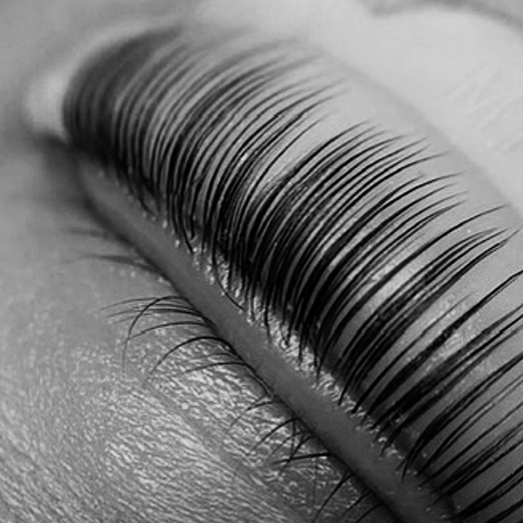 Lash lift + Tint at Salon Gio + Esthetics in Marrero, LA