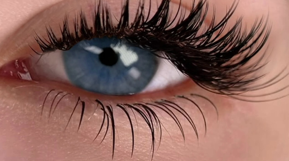 Bottom Lashes