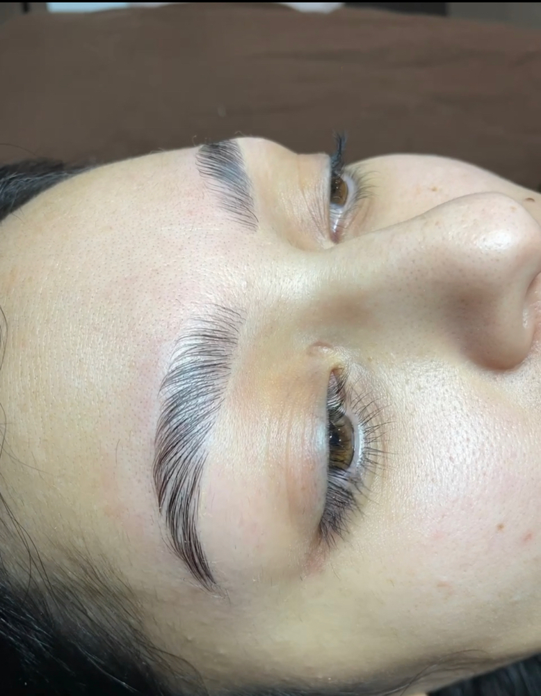 Eyebrow Lamination, Wax, and Tint