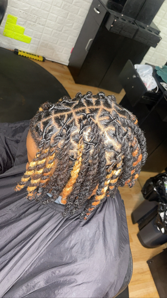 Dying Tips Blonde