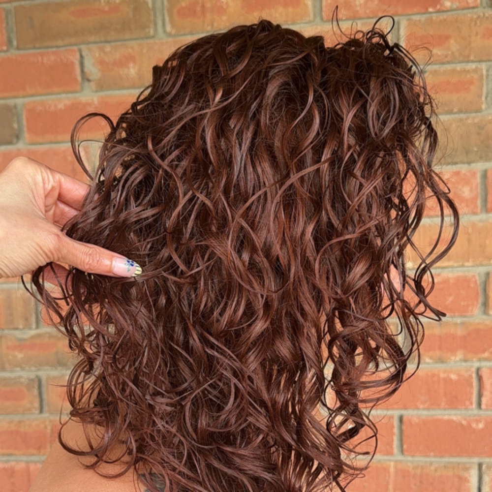 All Over Color at CurlVida Salon in Prospect, KY
