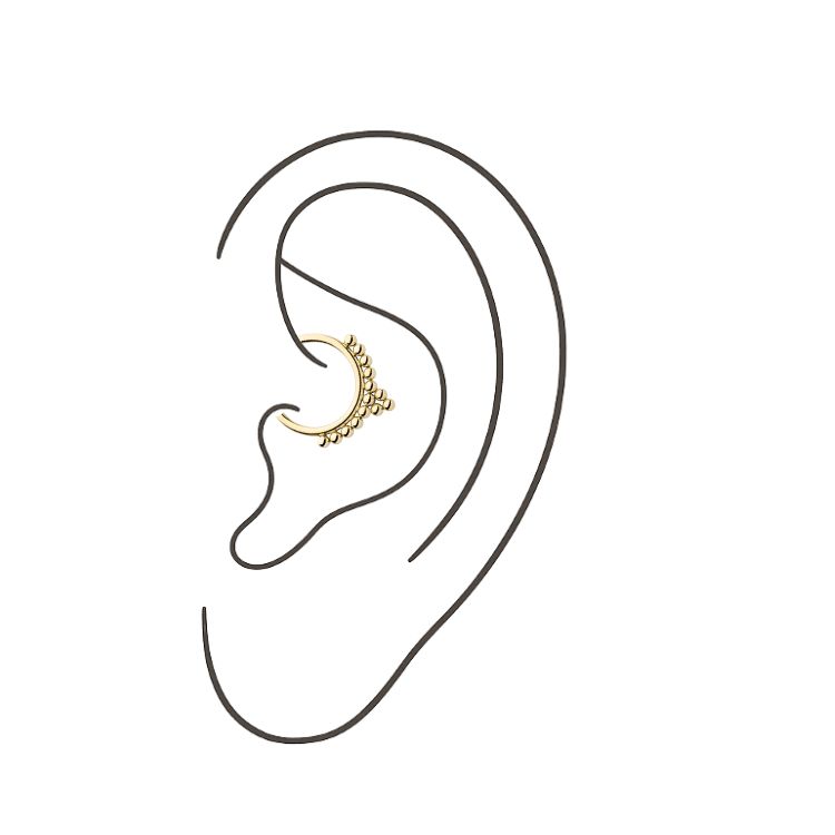 Daith (Jewelry Included)