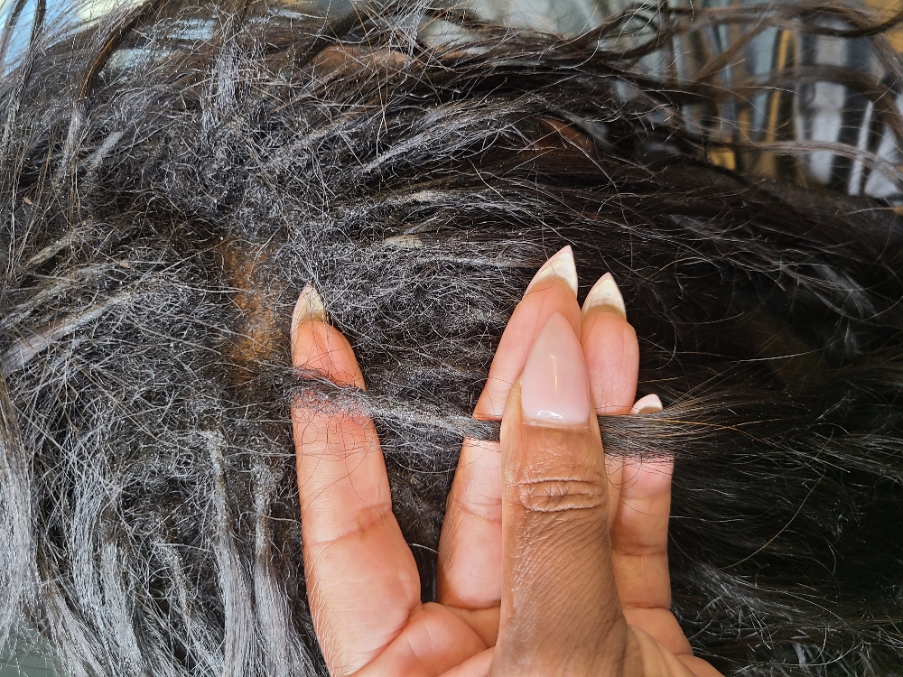 Hair extension maintenance at Waseema  The Crown Therapist in Clifton Heights, PA