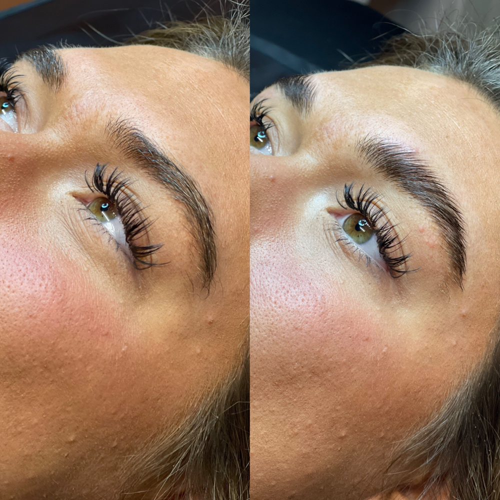 Brow Bundle at Prickly. in Wall, NJ