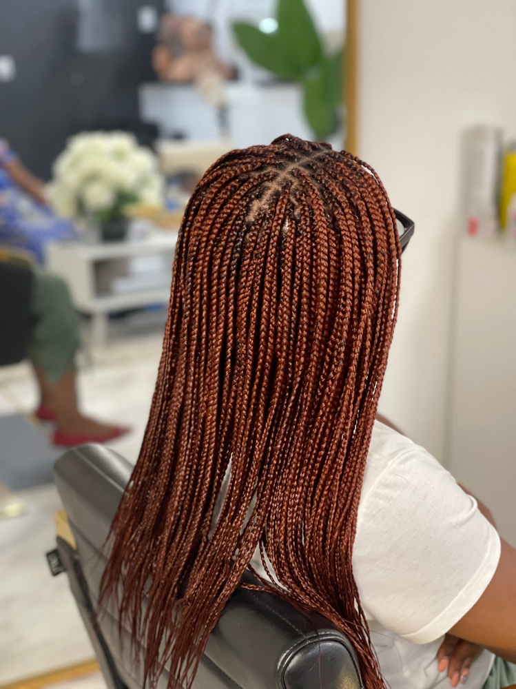 Small Box Braids