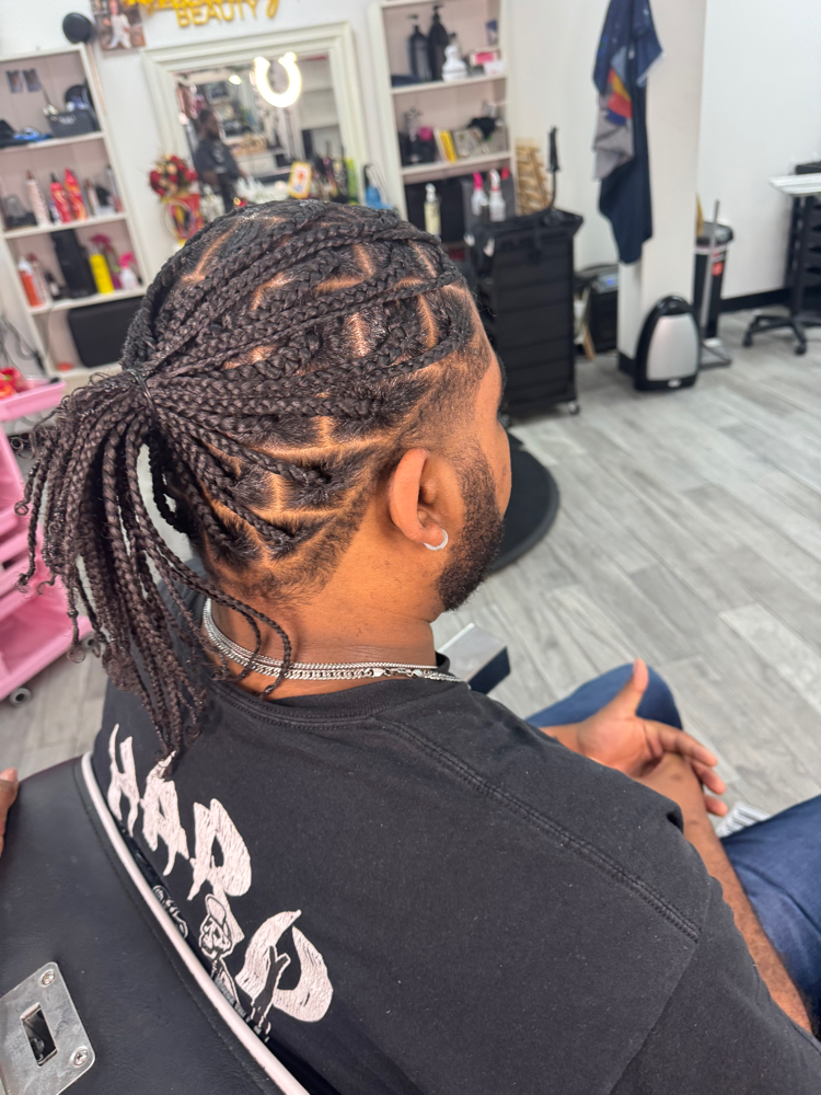 Medium Plaits Or 2 Strand Twists