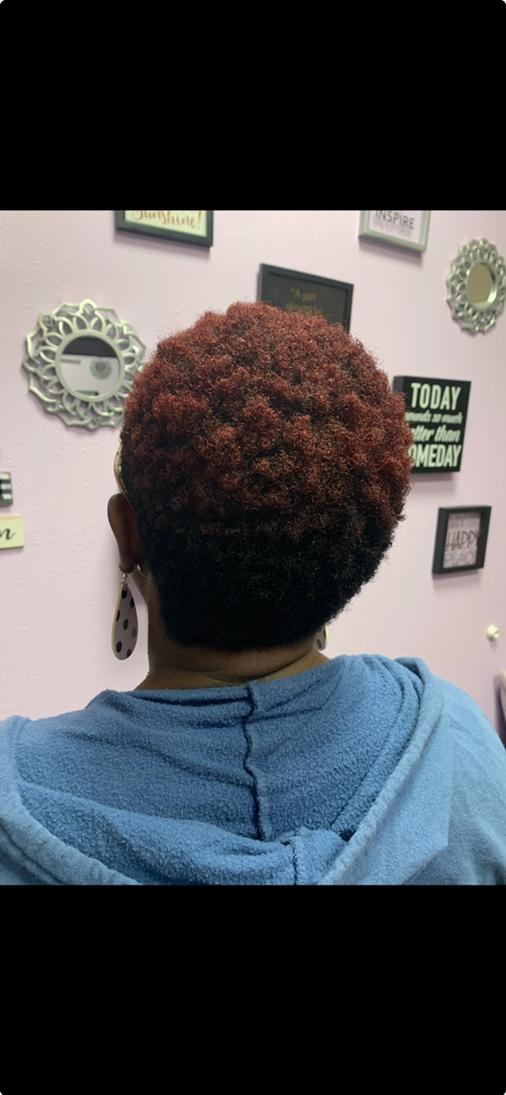 All Over Color (short hair)