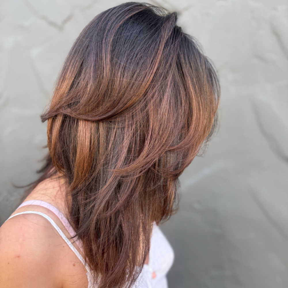 Soft Dimension Brunette at Emily and Hair in Clovis, CA
