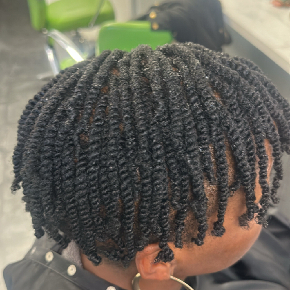 Mini Twist (No Added Hair) at CTK Natural Hair Studio in Columbia, MD