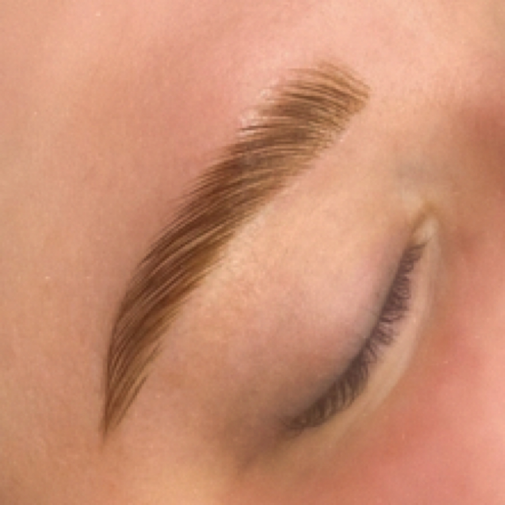 Brow Duo (Lamination + Tint) at XO Lash Studio LLC. in Apollo, PA