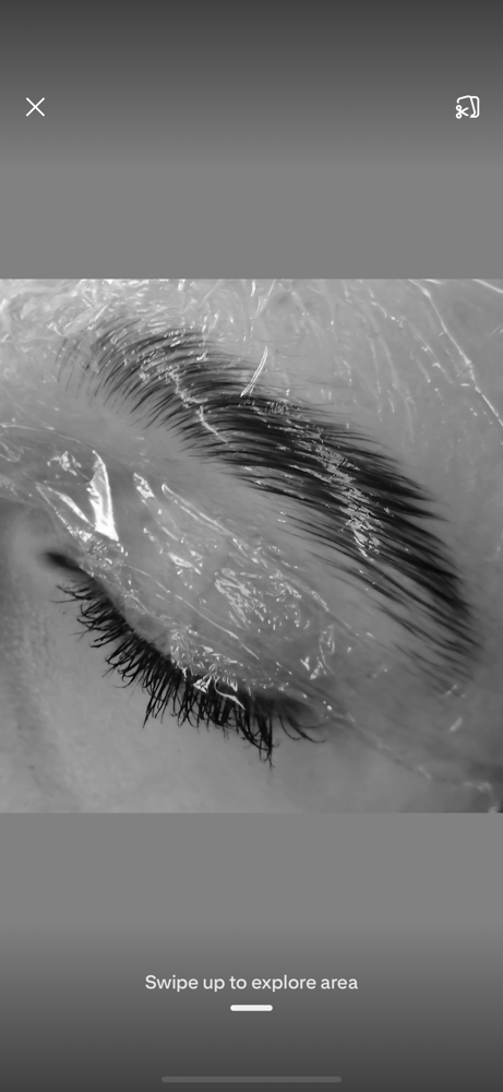 Brow Lamination + Tint