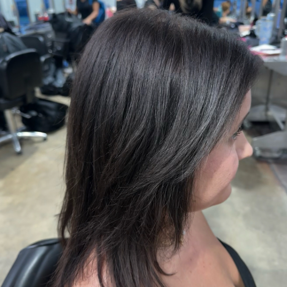 Root Touch Up at KP Roman in Winter Park, FL