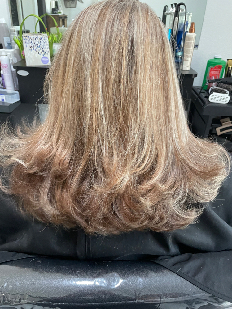 Full Hilites Toner Cut & Style