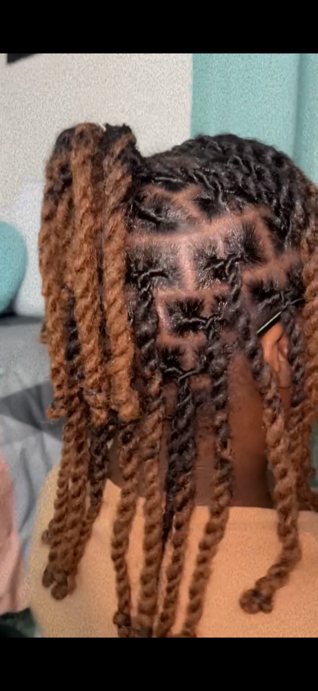 Two Strand Twist (Locs)