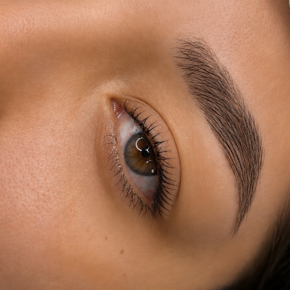 Lash Lift at Almo Nail Atelier in Butler, NJ