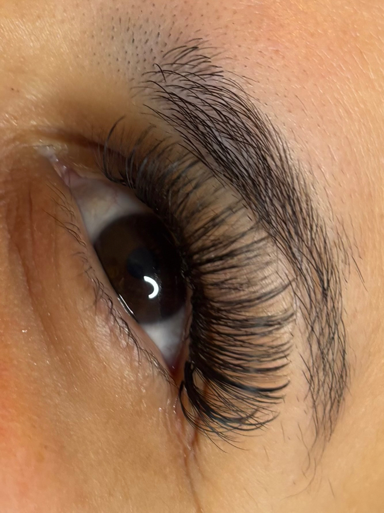 2 weeks Lash Fill