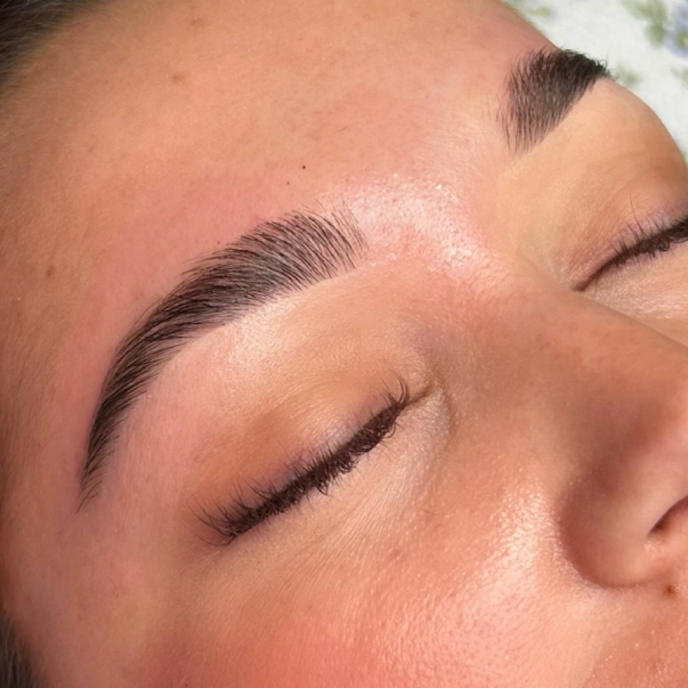 The Arch Angel Brow Wax at Silk Studio in Maryville, TN