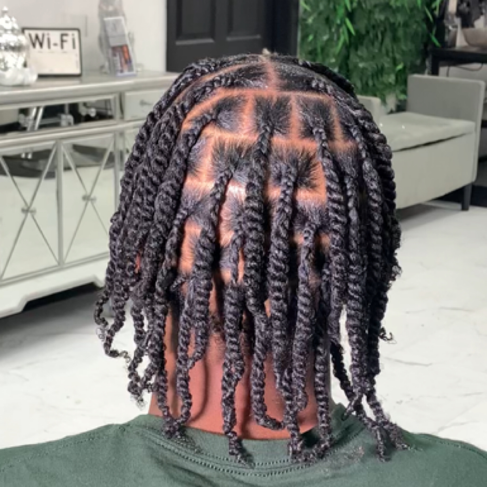 Two Strand Twist