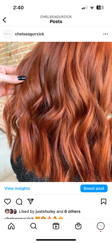 1 Solid Color + Haircut