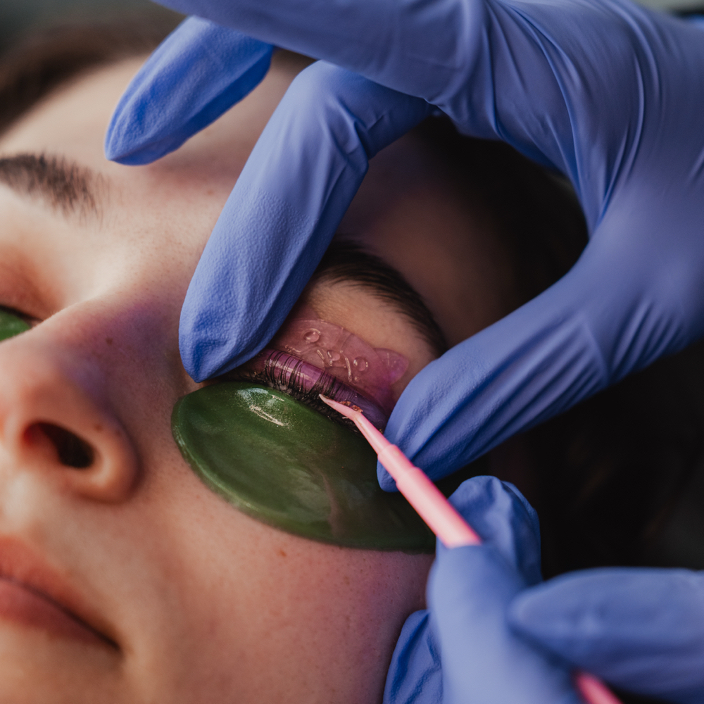 Lash Tint at The Blush Lounge in 37601