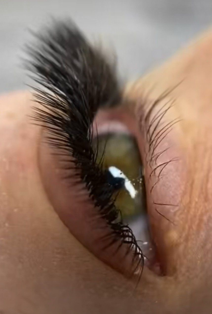 Volume Lash Refill (3 Weeks ) $90