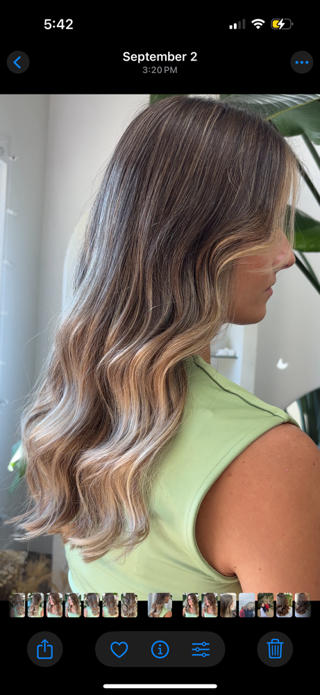 Partial Highlight/Balayage at LaneyJHair in Vancouver, WA