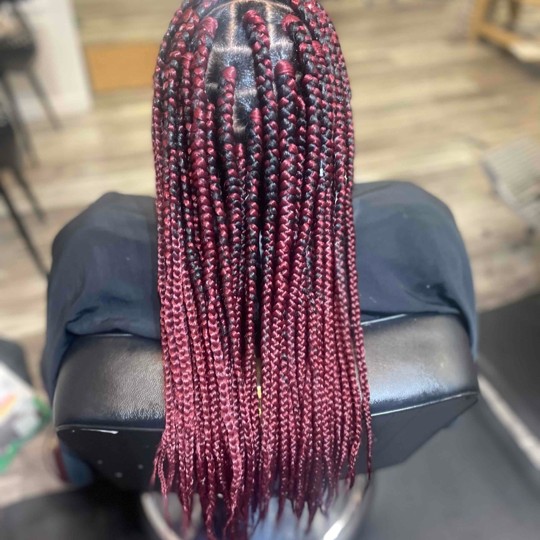 Medeium Box/Knotless Braids