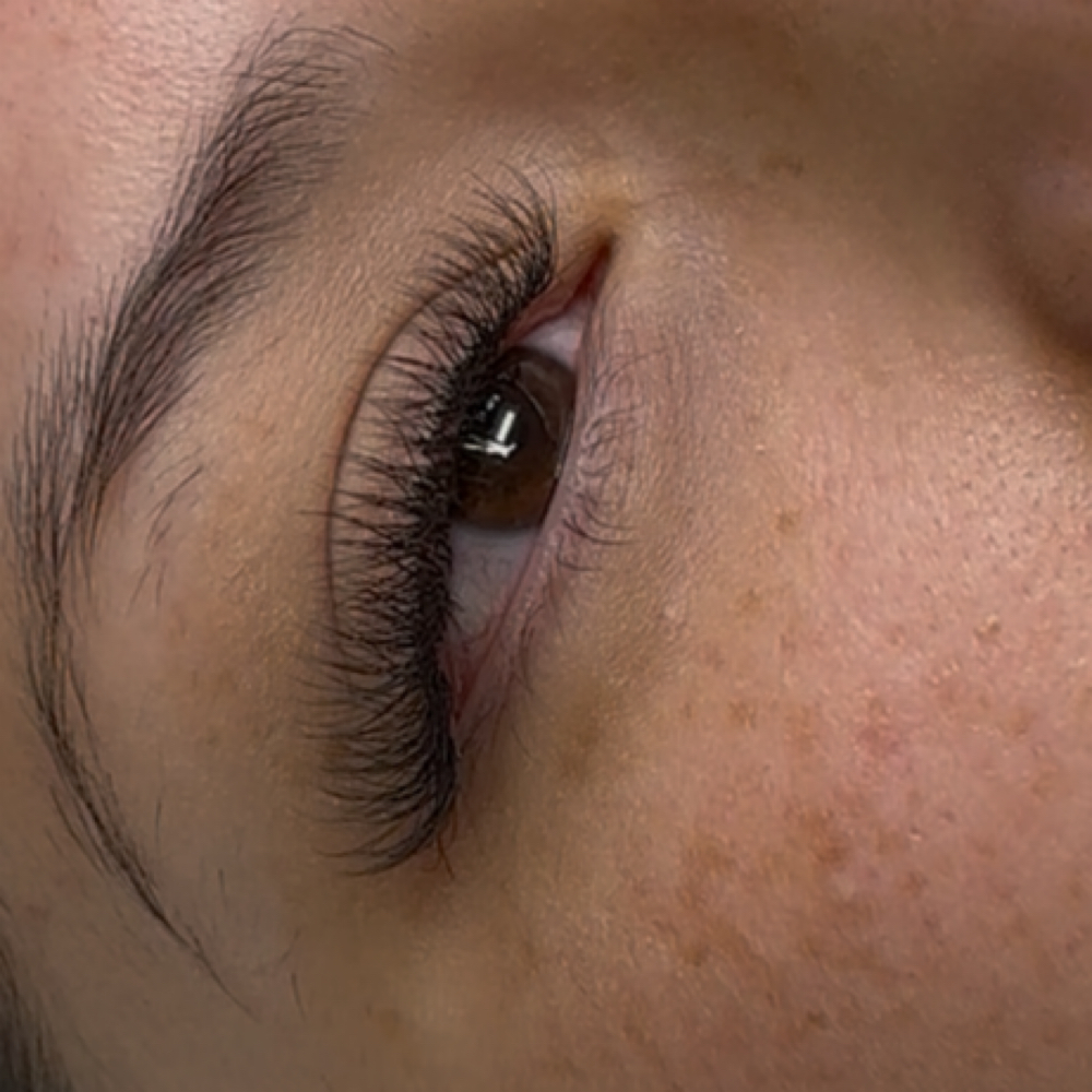 Eyelash Refill Over 5 Weeks at ProNails Lashes & Brows Studio in Woodburn, OR