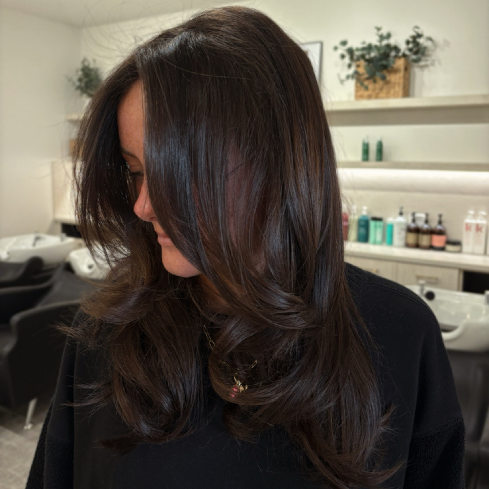 Haircut Color at Cedar Rose Salon and Suites in Byron Center, MI