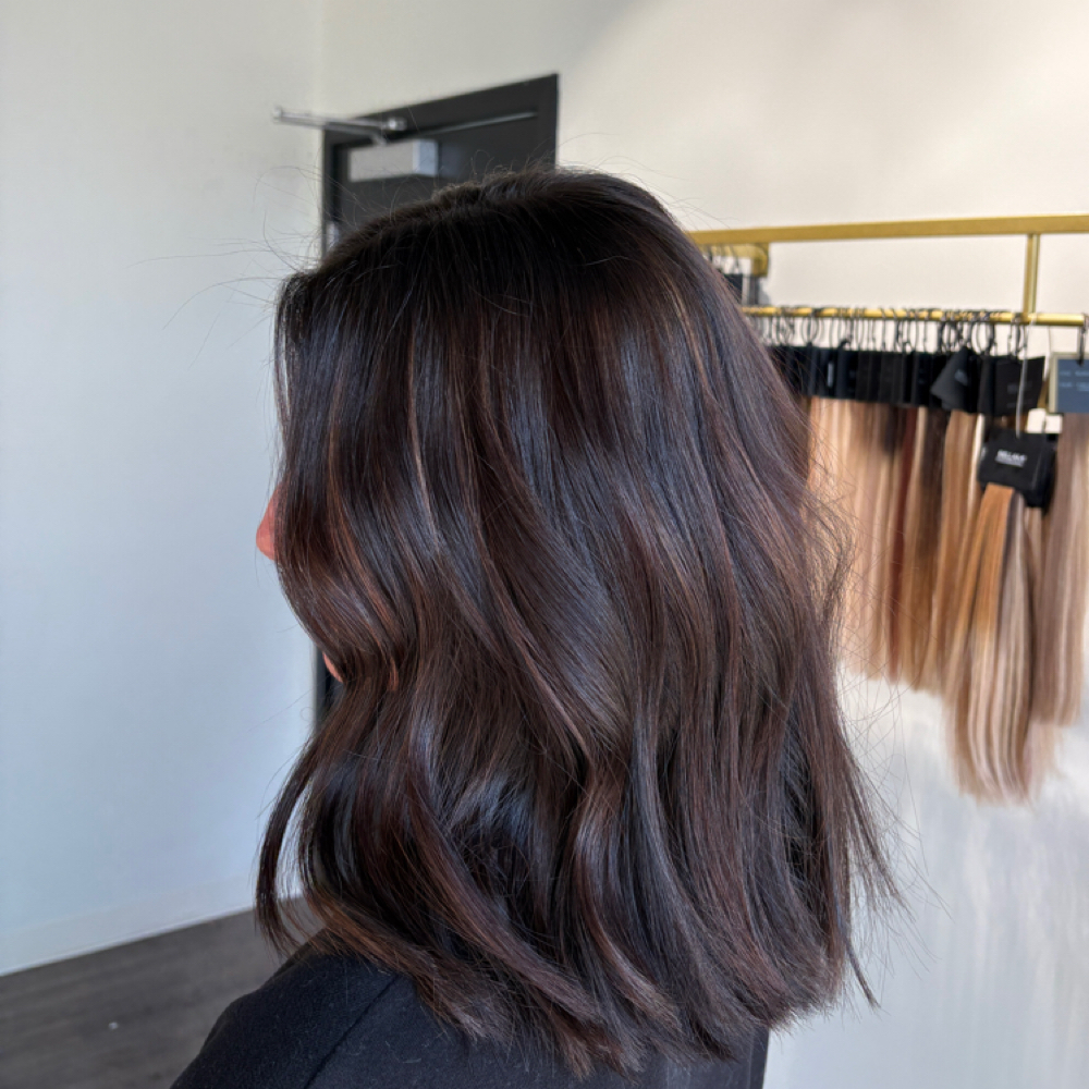 Haircut Color at Cedar Rose Salon and Suites in Byron Center, MI