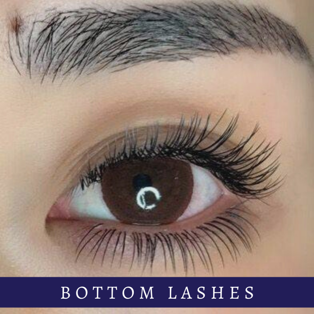 Bottom Lash Extensions