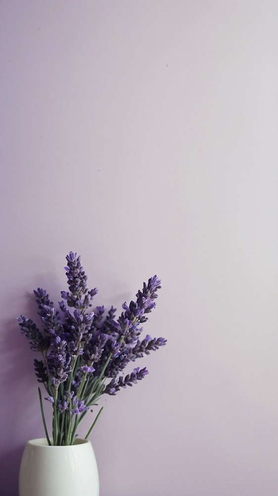 Lavender Sugar Scrub