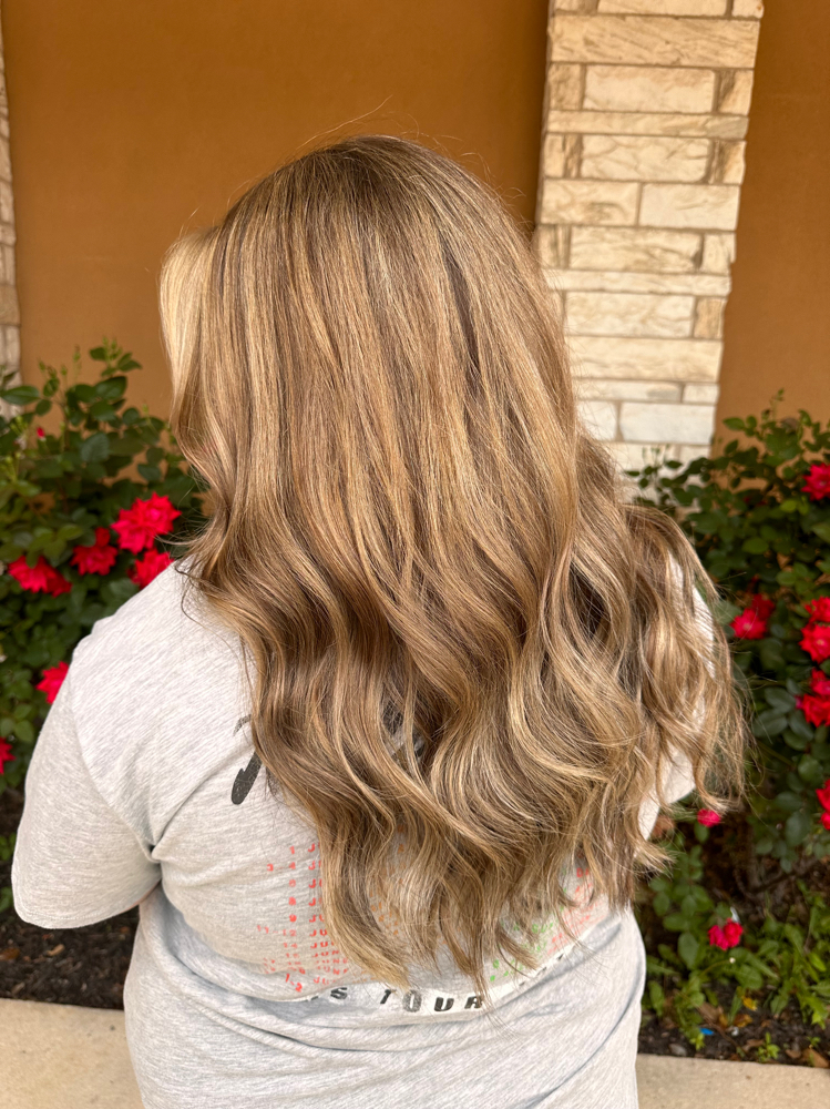 Shampoo, Cut, Style