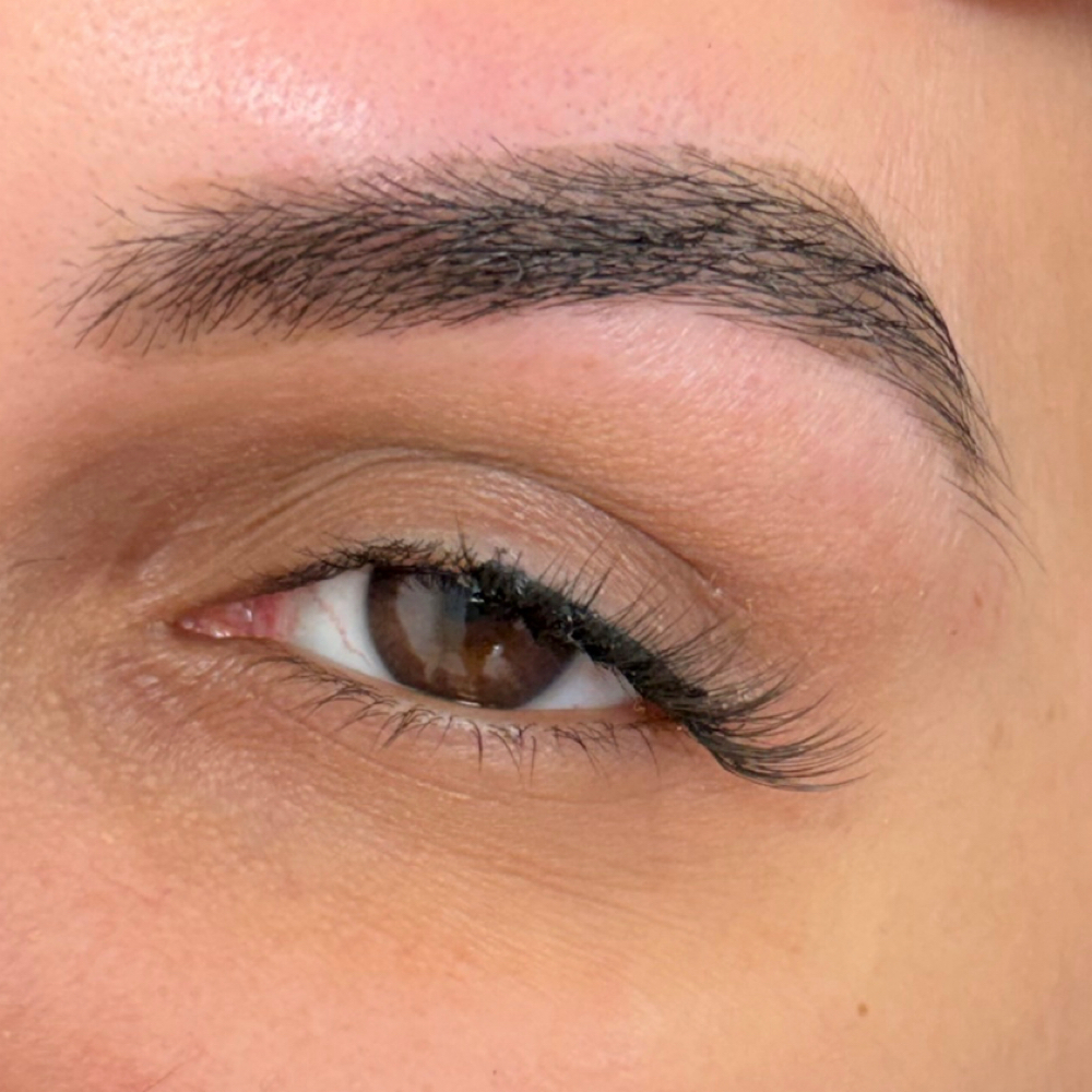 Fake Lashes at Blush Beauty & Aesthetics in North Olmsted, OH