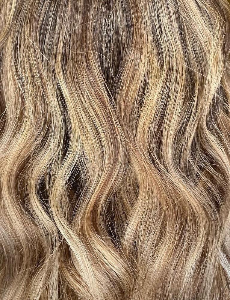 Shampoo + Style