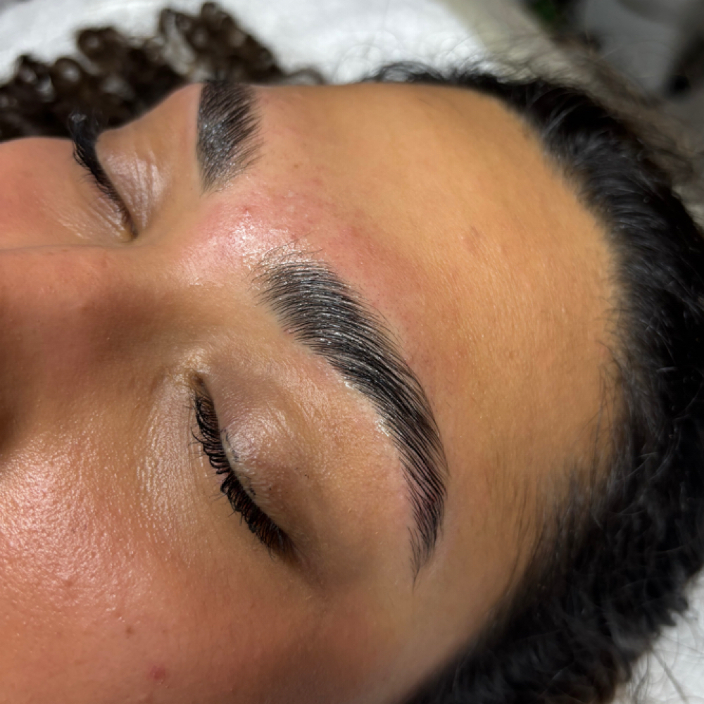 Brow Lamination + Tint & Shape at Milly Skin & Beauty in Edgewater, NJ